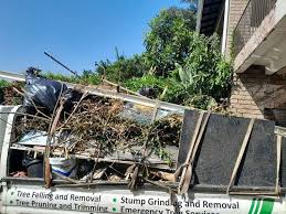Best Basement Cleanout  in Mount Vernon, KY